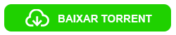 Baixar Filme Deslizando pela Vida 